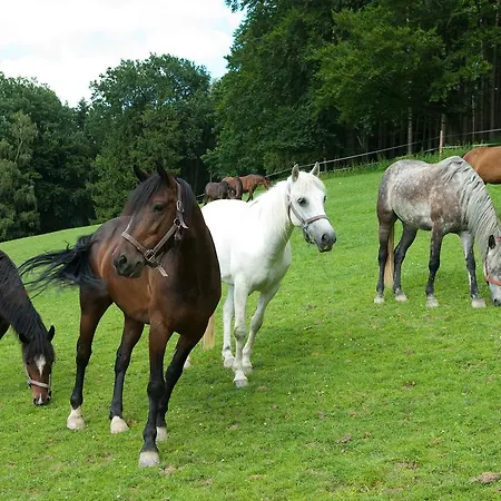 Hochriess 3* Purgstall an der Erlauf