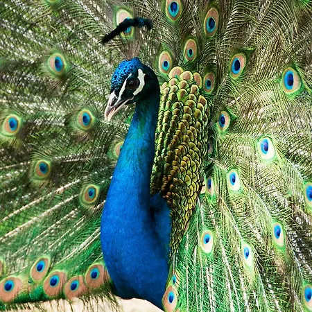 Hochriess Отель