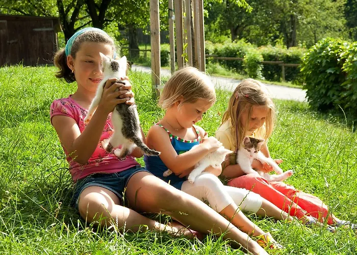 Hotel Hochriess Purgstall an der Erlauf