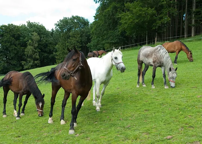 Hochriess 3* Purgstall an der Erlauf